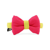 DearPet Double Trouble Pink & Lime Single Cat & Puppy Bow Tie