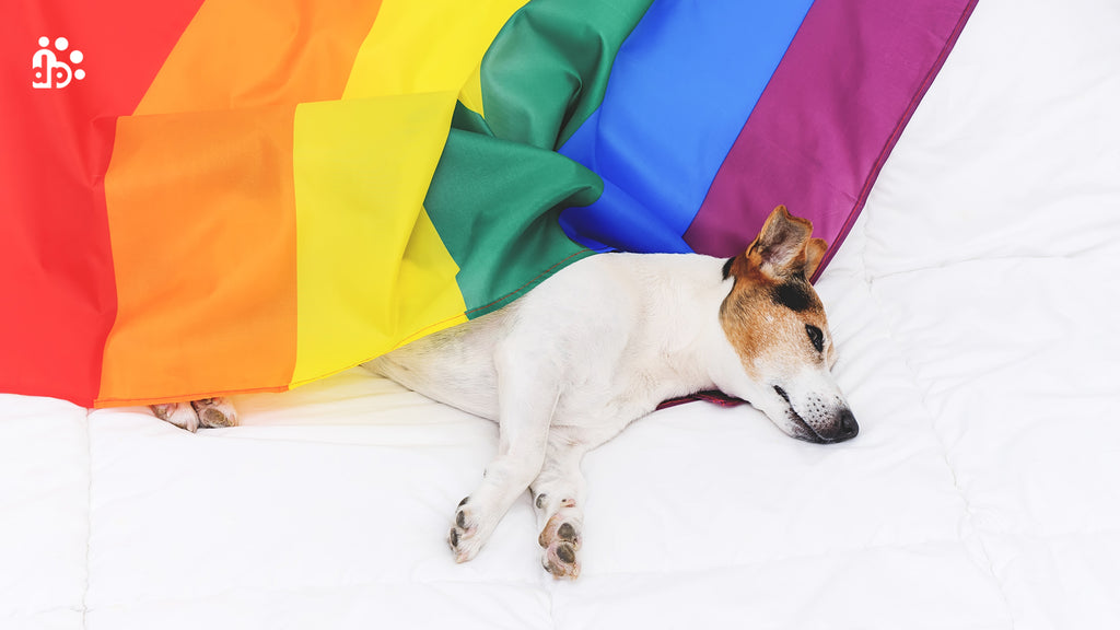 HOMOSEXUALITY IN DOGS