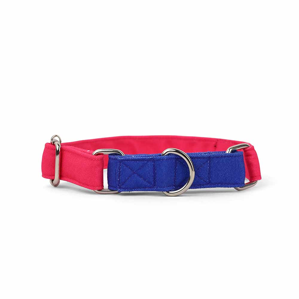 Dear Pet Double Trouble Martingale Pink & Blue Dog Collar - Customisable