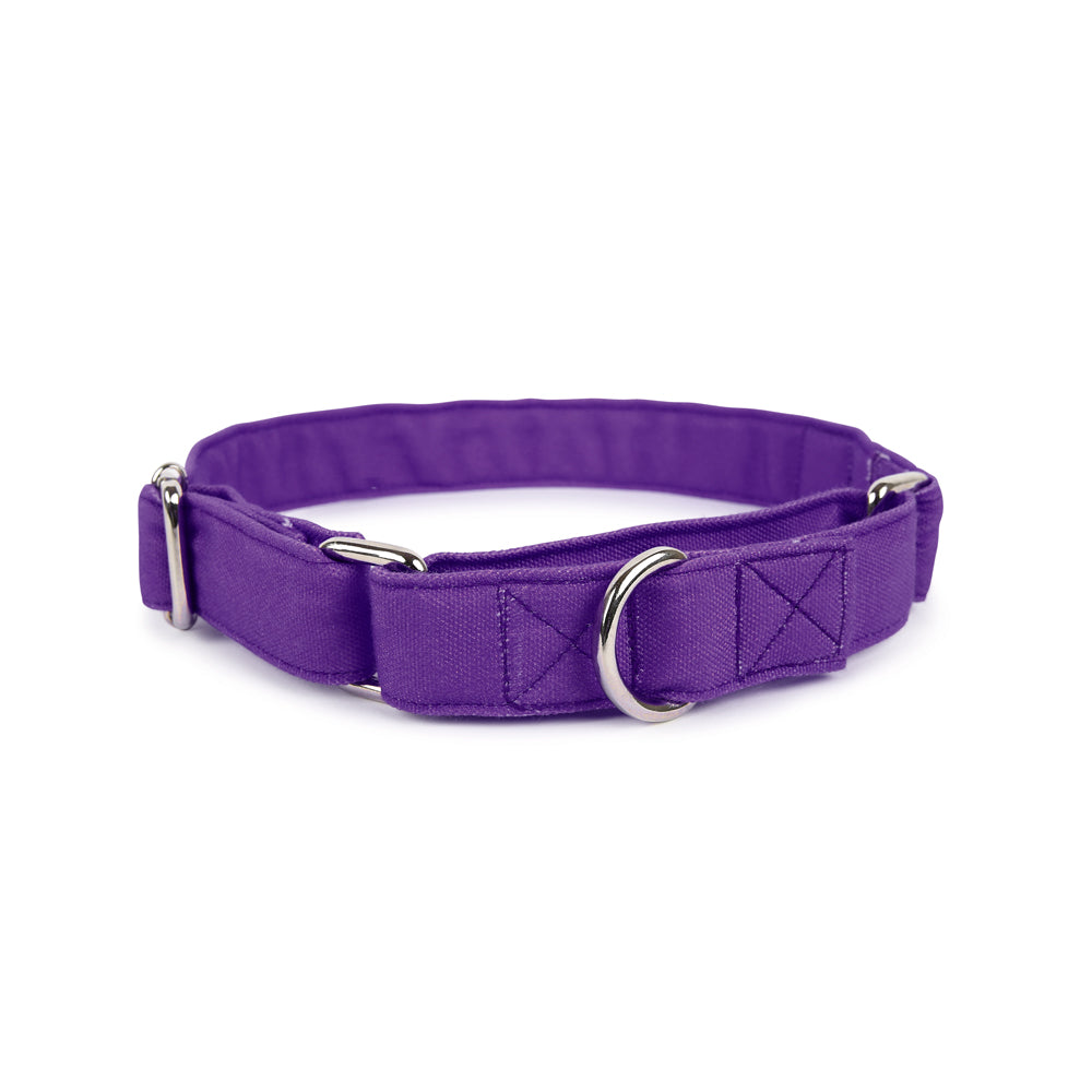 Dear Pet Classic Martingale Purple Dog Collar - Customisable