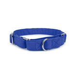 Dear Pet Classic Martingale Blue Dog Collar - Customisable