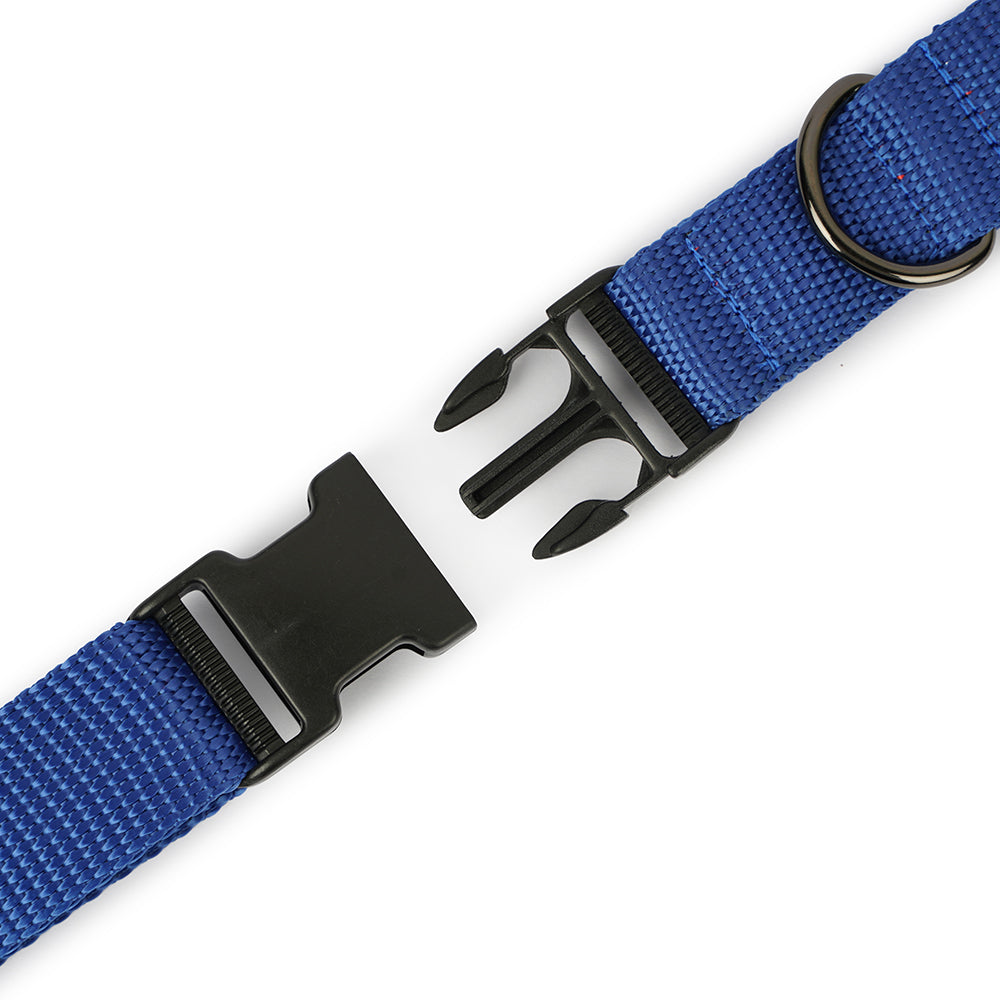 Dear Pet Nylon Dog Collar-Leash Set in Blue