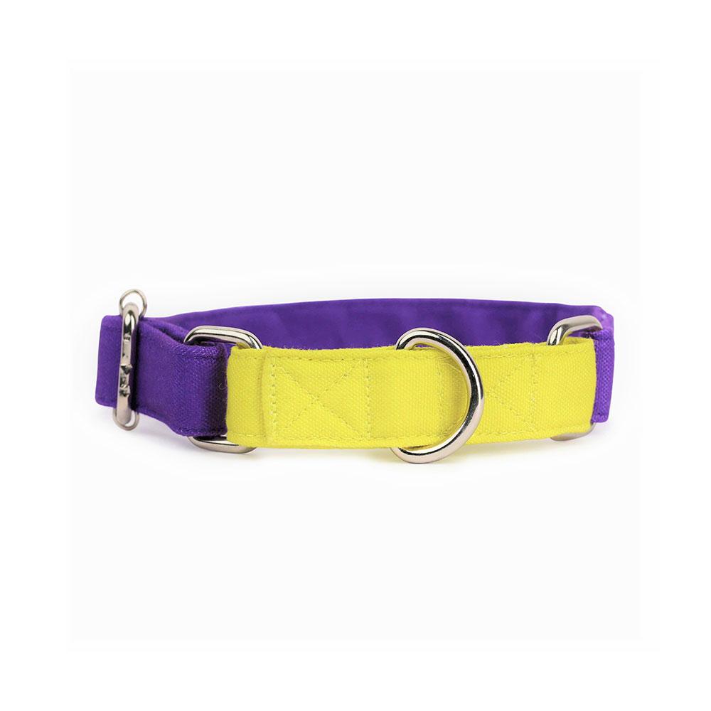 Dear Pet Double Trouble Martingale Purple & Lime Dog Collar - Customisable