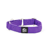 Dear Pet Classic Martingale Purple Dog Collar