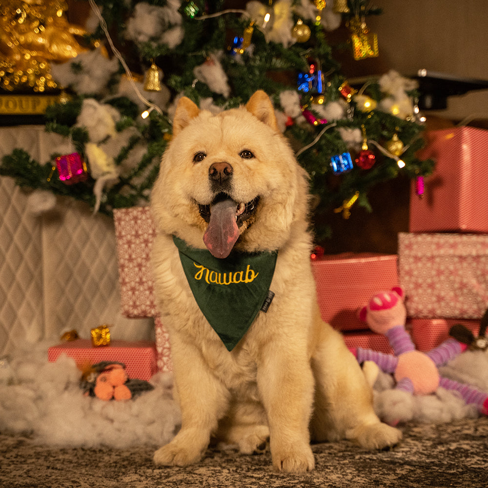 Dear Pet Something Christmasy Dog Bandana in Green - Customisable