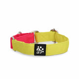 Dear Pet Double Trouble Martingale Lime & Pink Dog Collar