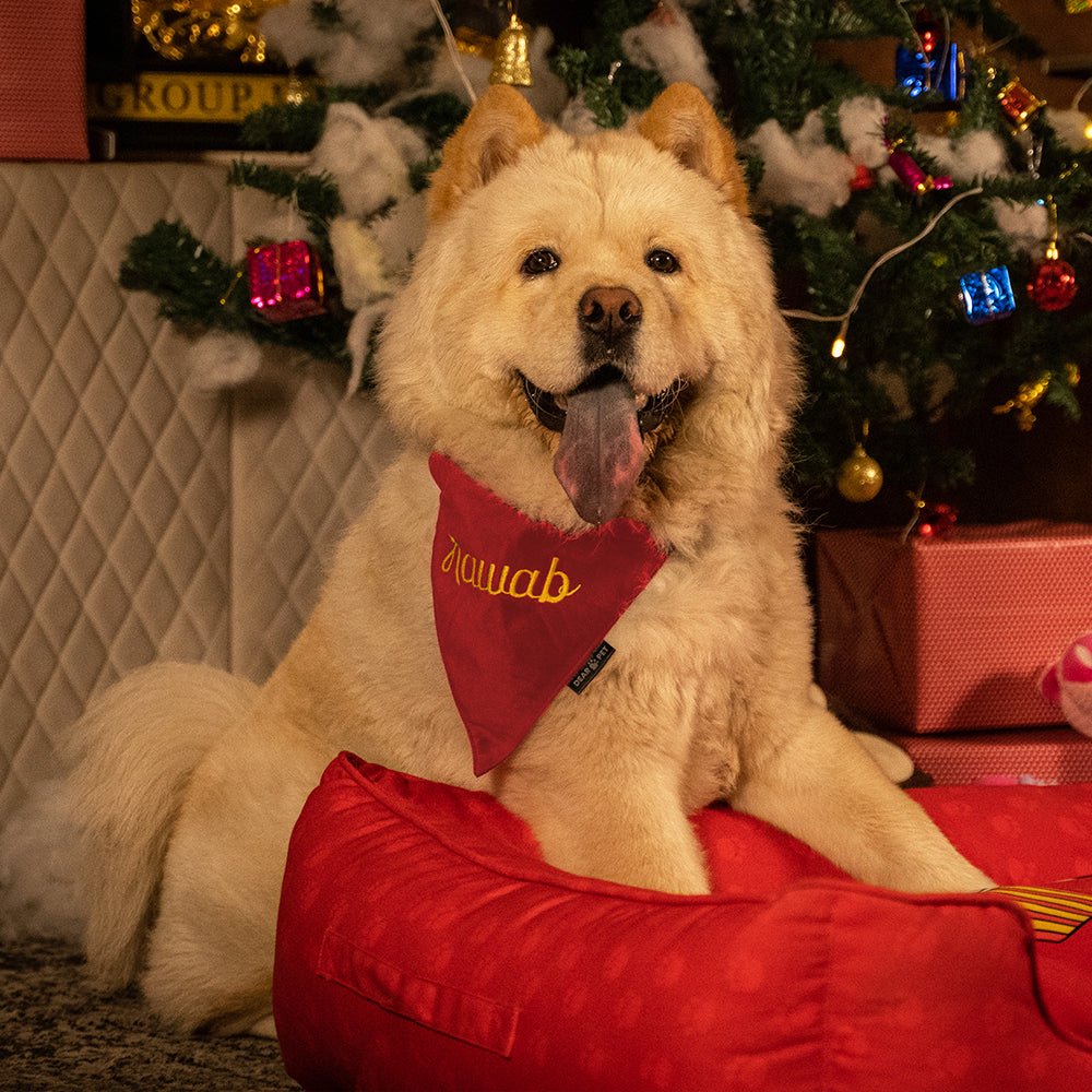 Dear Pet Something Christmasy Dog Bandana in Red - Customisable