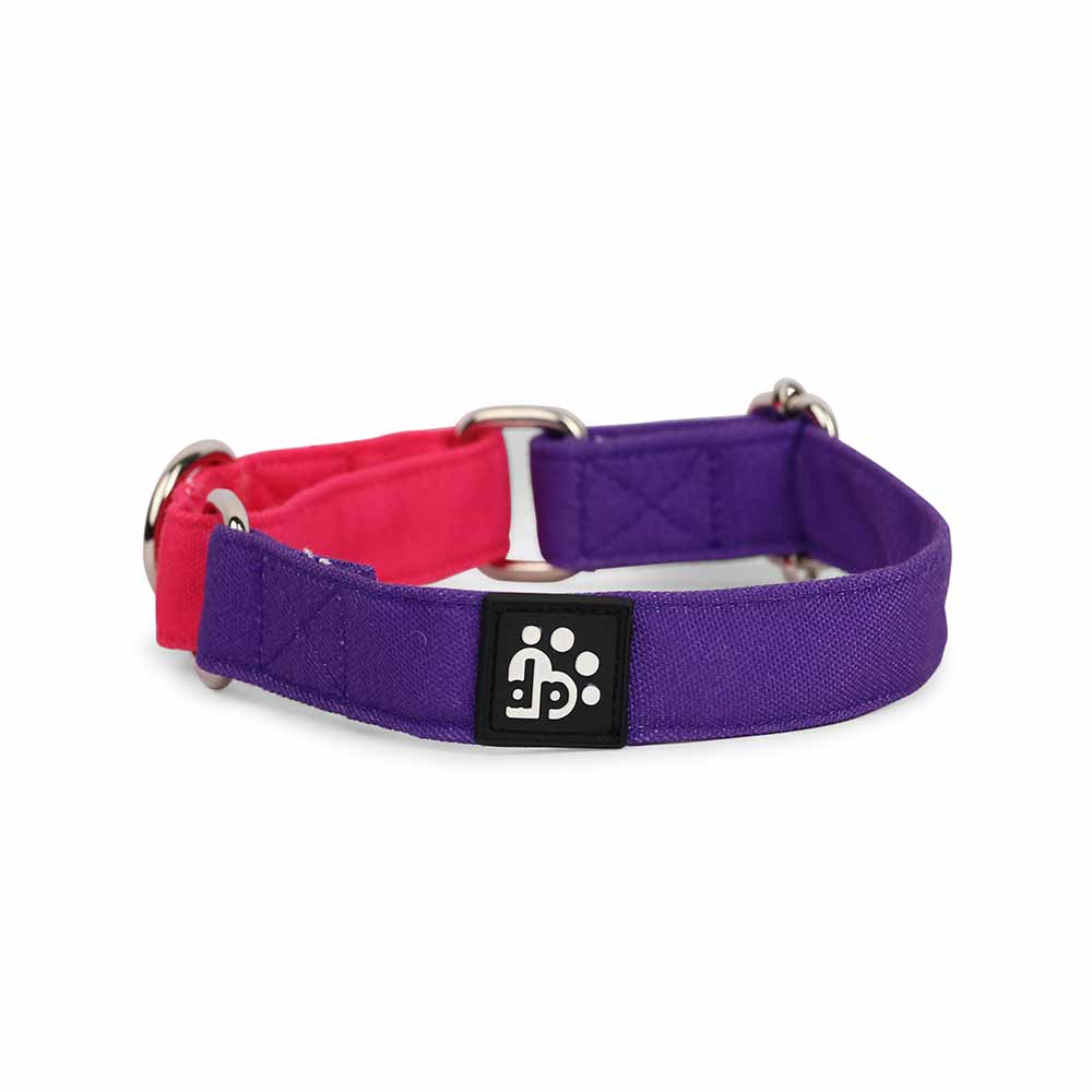 Dear Pet Double Trouble Martingale Purple & Pink Dog Collar