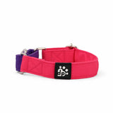 Dear Pet Double Trouble Martingale Pink & Purple Dog Collar