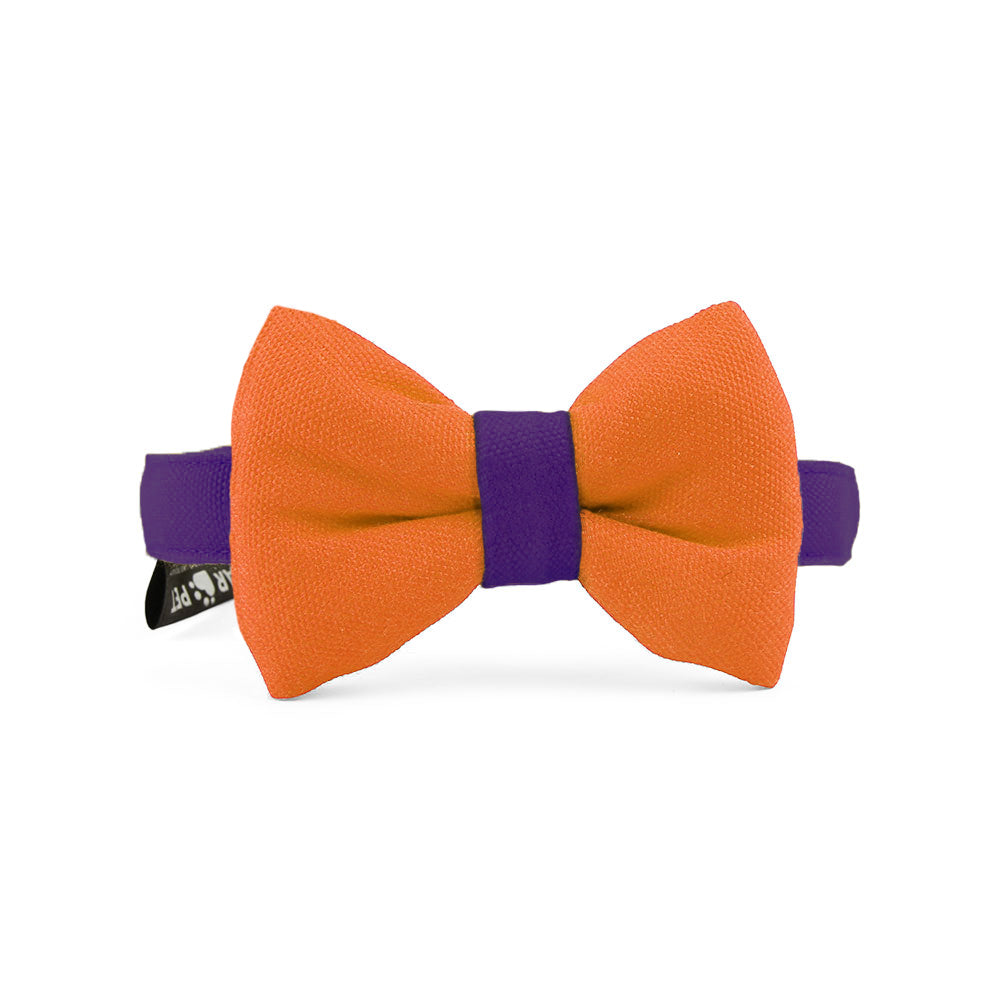 Dear Pet Double Trouble Orange & Purple Single Cat & Puppy Bow Tie