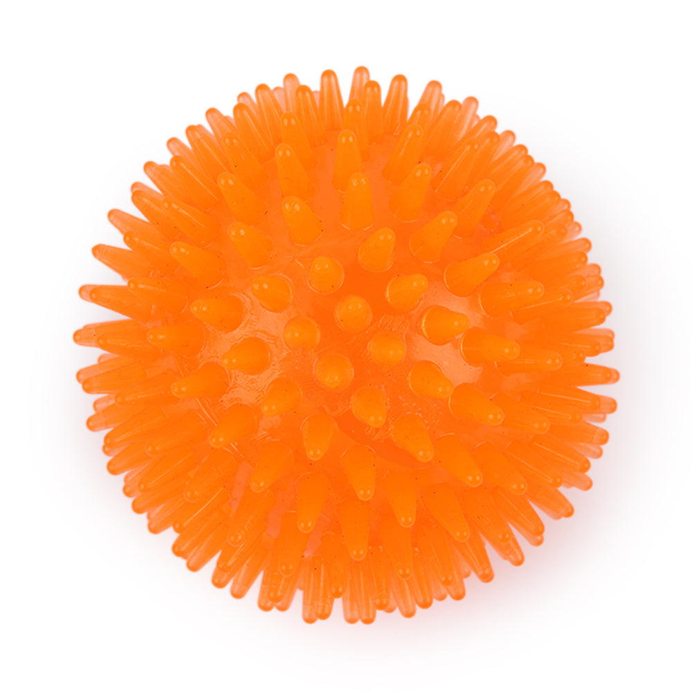 Dear Pet Squeaker Ball with Thorns Dog Toy
