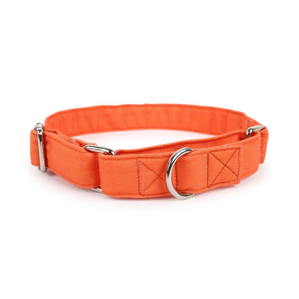 Dear Pet Classic Martingale Orange Dog Collar - Customisable