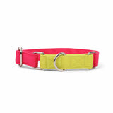 Dear Pet Double Trouble Martingale Pink & Lime Dog Collar