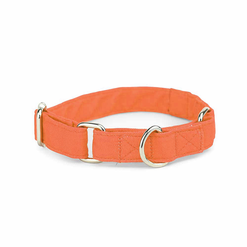 Dear Pet Classic Martingale Orange Dog Collar