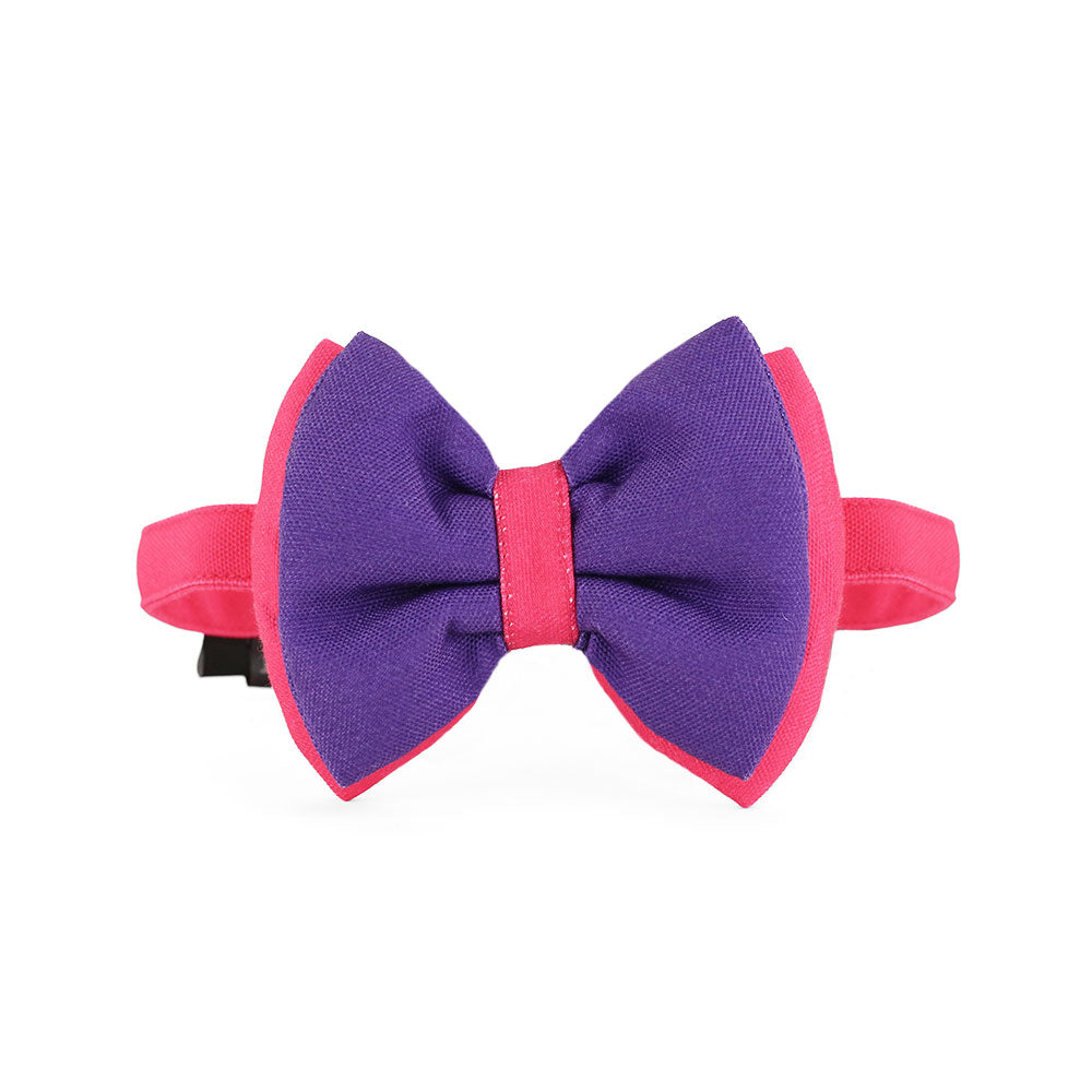 Dear Pet Double Trouble Purple & Pink Dog Bow Tie