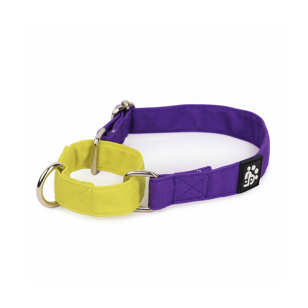 Dear Pet Double Trouble Martingale Purple & Lime Dog Collar