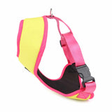 Dear Pet Double Trouble Lime & Pink Harness for Dogs