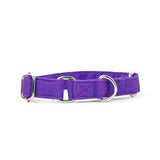 Dear Pet Classic Martingale Purple Dog Collar