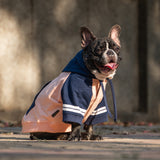 Dear Pet Peach & Blue with Stripes Sweatshirts for Dogs