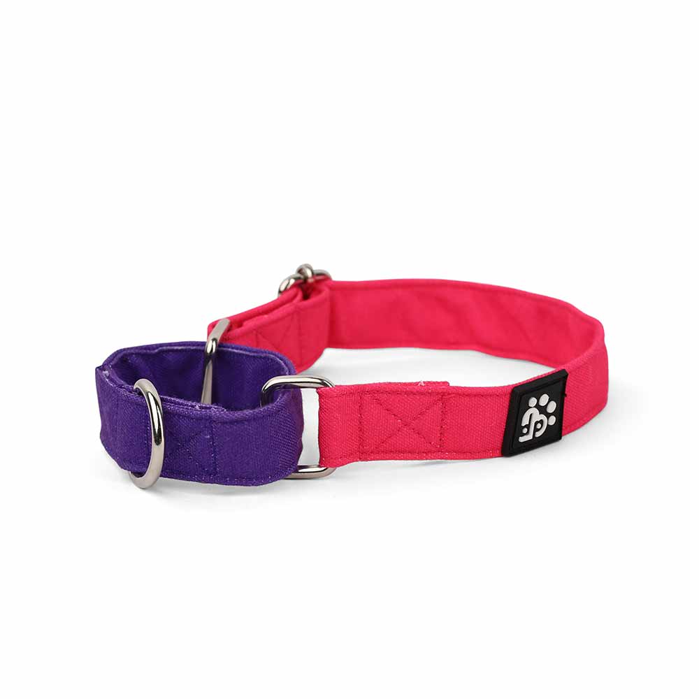 Dear Pet Double Trouble Martingale Pink & Purple Dog Collar