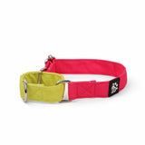 Dear Pet Double Trouble Martingale Pink & Lime Dog Collar