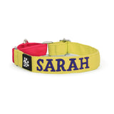 Dear Pet Double Trouble Martingale Lime & Pink Dog Collar - Customisable