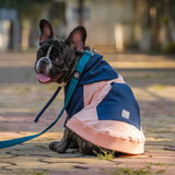 Dear Pet Peach & Blue with Stripes Sweatshirts for Dogs