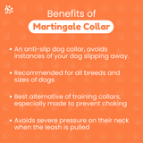 Dear Pet Double Trouble Martingale Blue & Lime Dog Collar