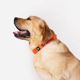 Dear Pet Classic Martingale Orange Dog Collar - Customisable