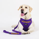 Dear Pet Classic Purple Dog Harness - Customisable