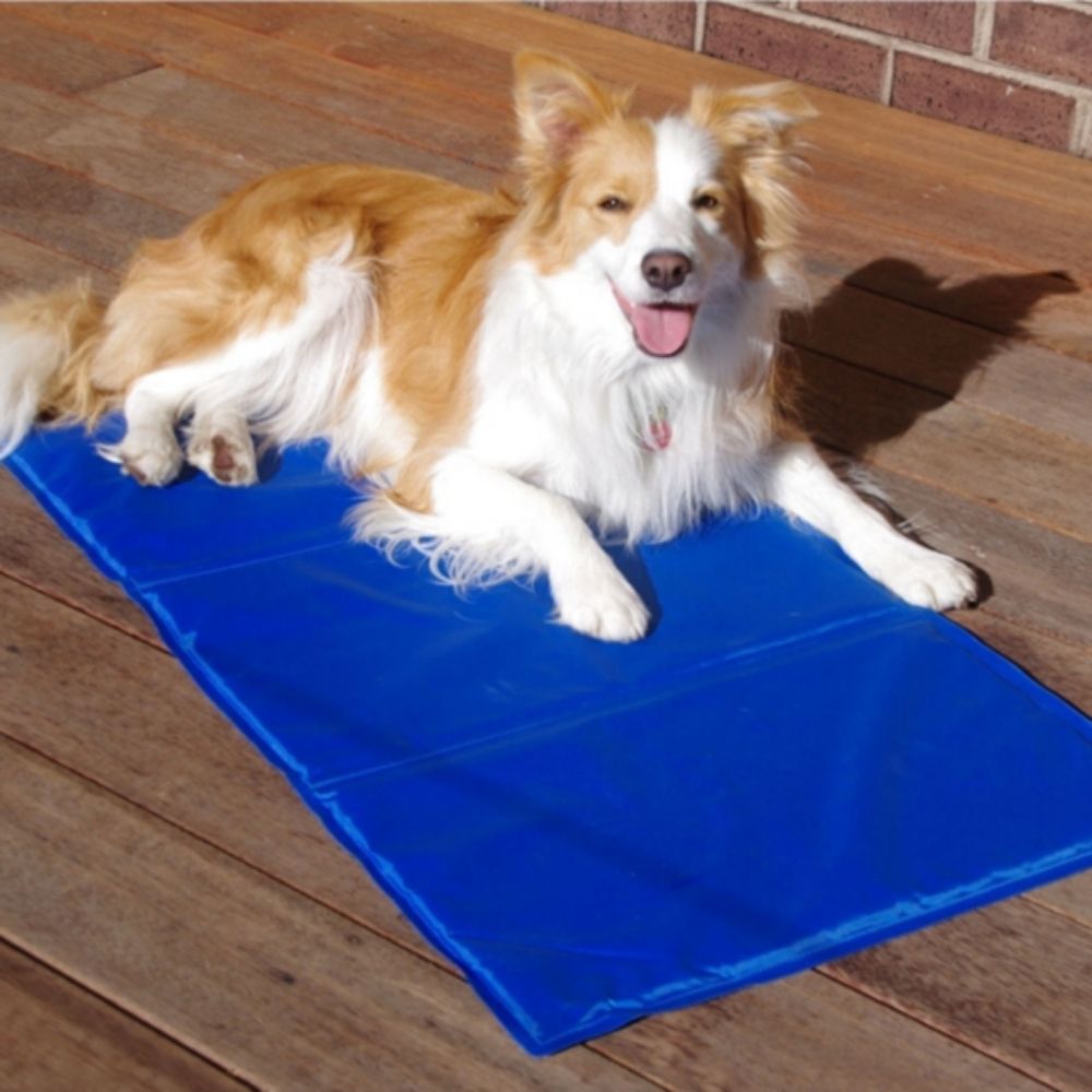 Pet Like That Pressure & Heat Activated Cooling Mats for Dogs