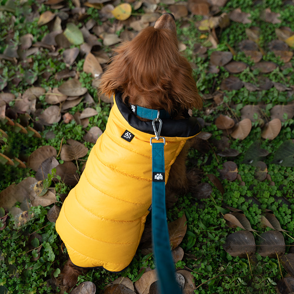 Dear Pet Quilted Jacket for Dogs in Yellow