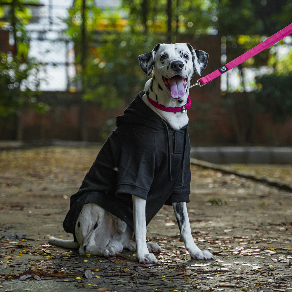 Dear Pet Black Sweatshirt for Dogs