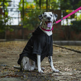 DearPet Black Sweatshirt for Dogs