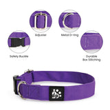 Dear Pet Classic Purple Dog Collar