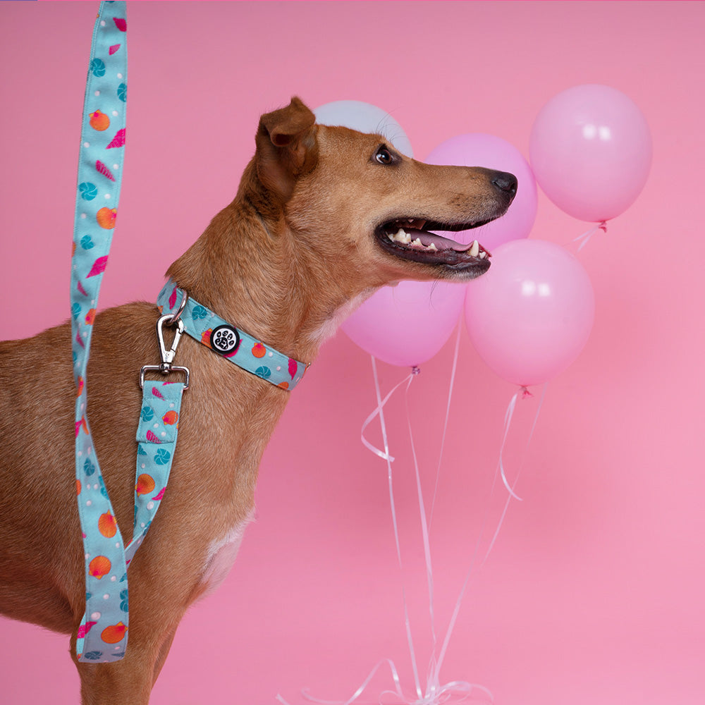 Dear Pet Dancing Pearls Dog Collar & Leash Set