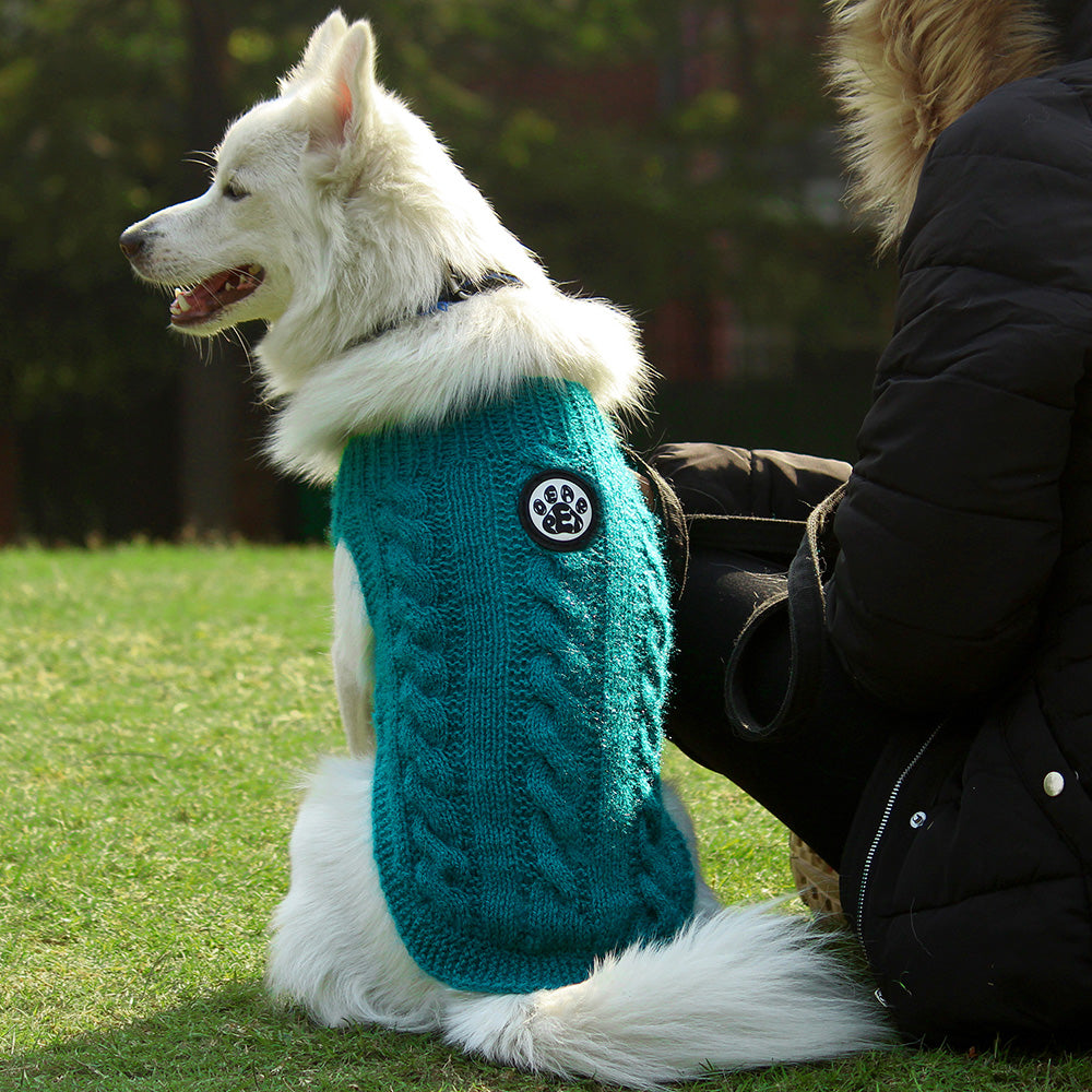 Dear Pet Sweater in Teal for Dogs