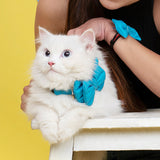 Dear Pet Classic Sky Blue Cat Bow (Detachable)