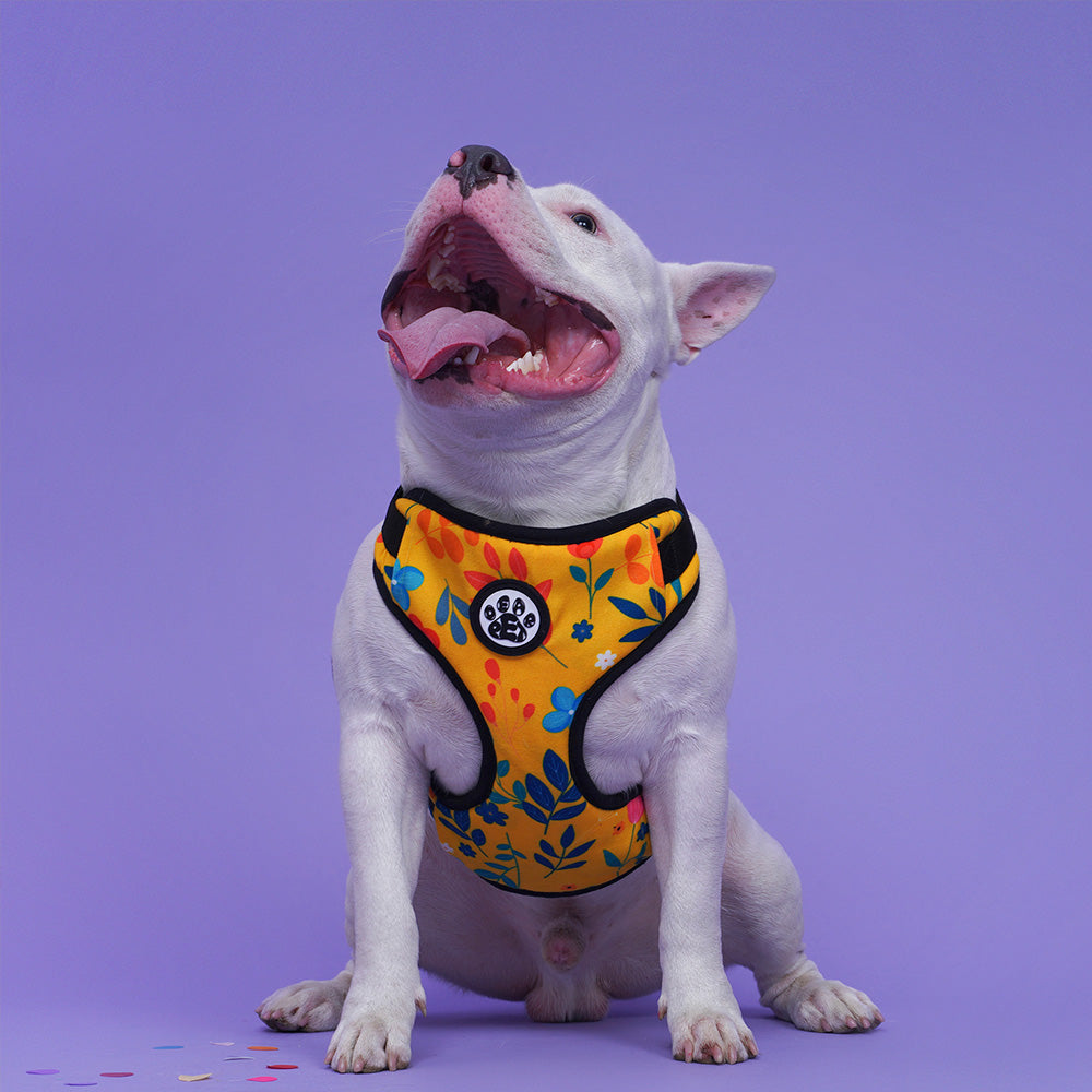 Dear Pet Blooming Yellow Dog Harness