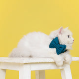 Dear Pet Classic Teal Blue Cat Bow (Detachable)