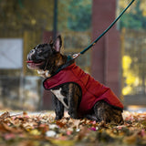 Dear Pet Quilted Jacket for Dogs in Maroon
