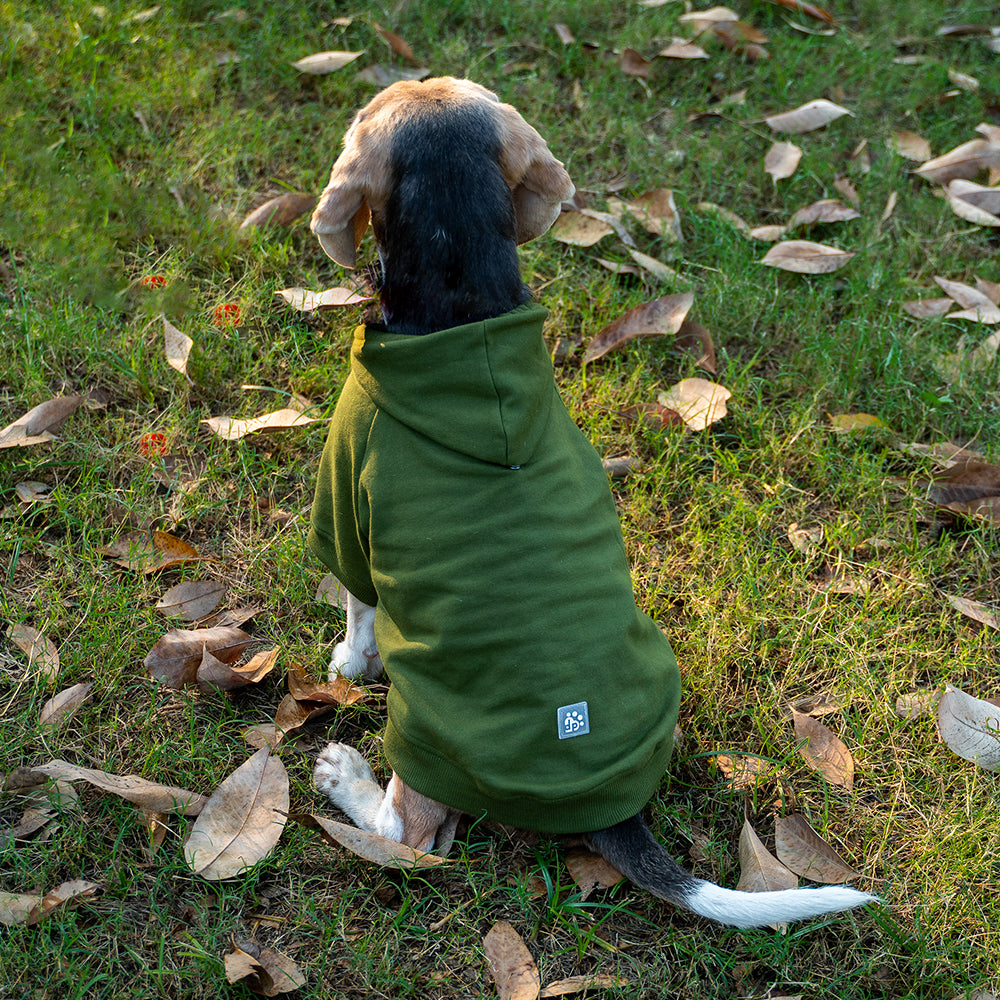 Dear Pet Olive Sweatshirt for Dogs