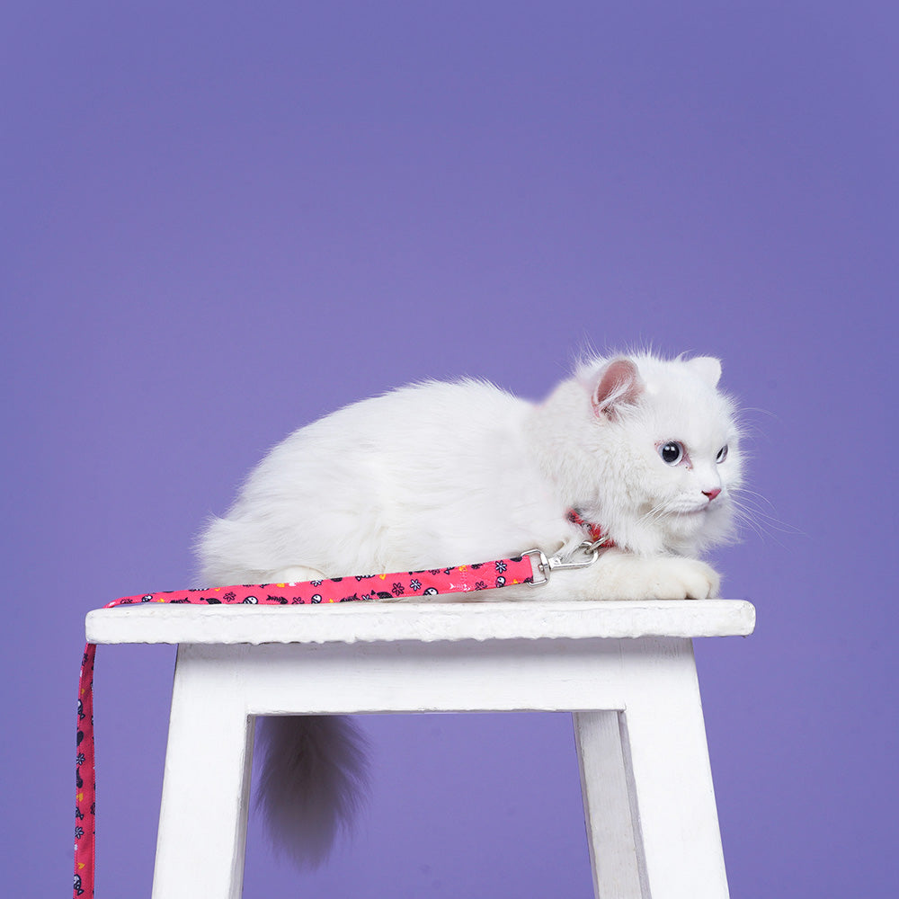 Dear Pet Something's Fishy Cat Collar & Leash Set in Pink