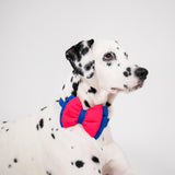 DearPet Double Trouble Pink & Blue Dog Bow Tie