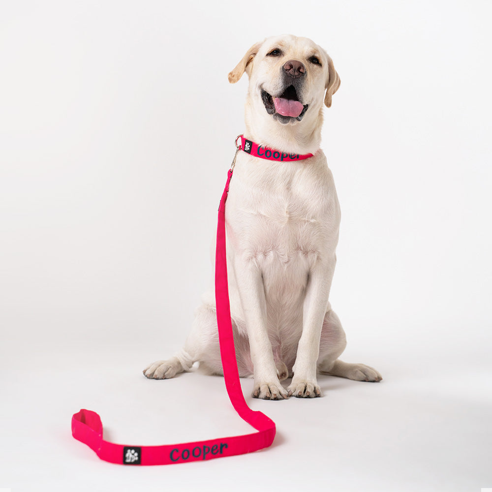 Dear Pet Classic Martingale Pink Dog Collar - Customisable
