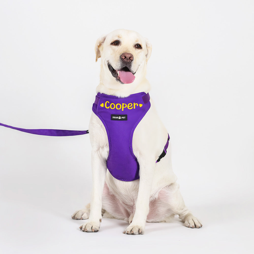 Dear Pet Classic Purple Dog Harness - Customisable