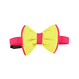 Dear Pet Double Trouble Lime & Pink Dog Bow Tie