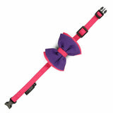 DearPet Double Trouble Purple & Pink Dog Bow Tie