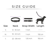 Dear Pet Majestic Unicorns Dog Collar & Leash Set